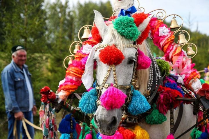 В Арском районе пройдет традиционный конно-спортивный праздник «День Коня»
