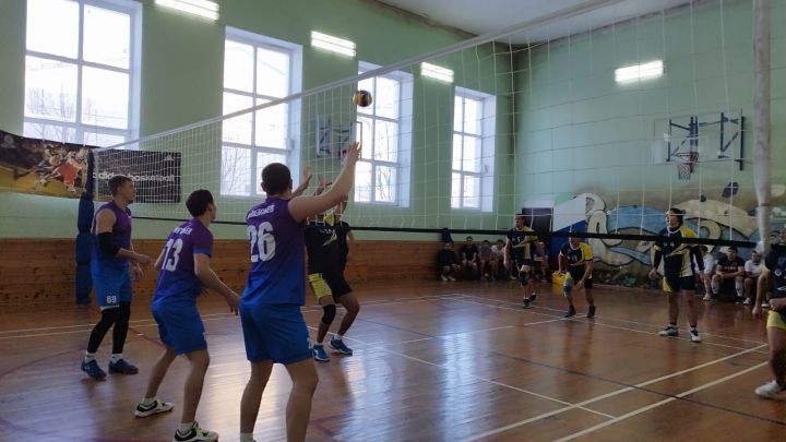 В Пестрецах прошёл турнир по волейболу, посвящённый Дню Героев Отечества