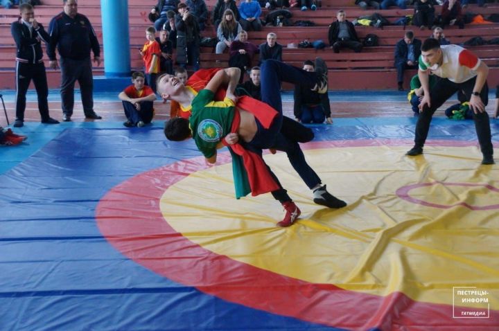Спортивный сезон в Пестречинском районе откроют юные борцы