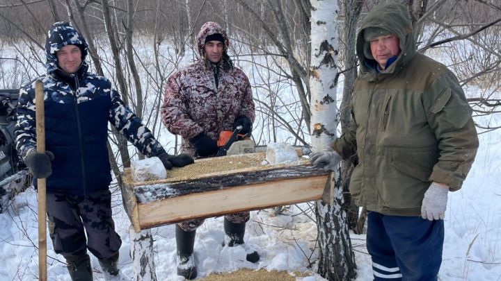 Чем сотрудники охотничьих хозяйств подкармливают лосей, косуль и зайцев