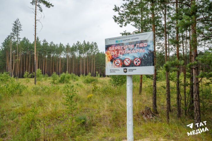 В Татарстане снова продлили ограничение на посещение лесов