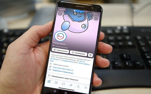 На «Госуслугах» открылась регистрация крупных блогов и каналов
