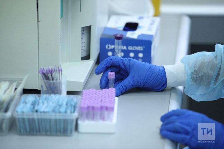 Роспотребнадзор обнаружил новые вирусы, которые могут передавать клещи и комары