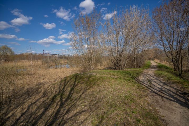 В Пестречинском районе сохранится теплая погода с крепким порывистым ветром