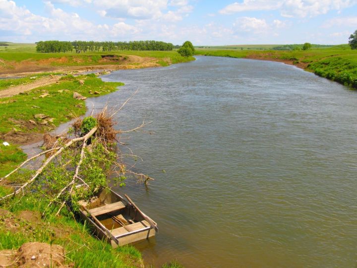 Каким был май в Пестречинском районе в прошлых годах