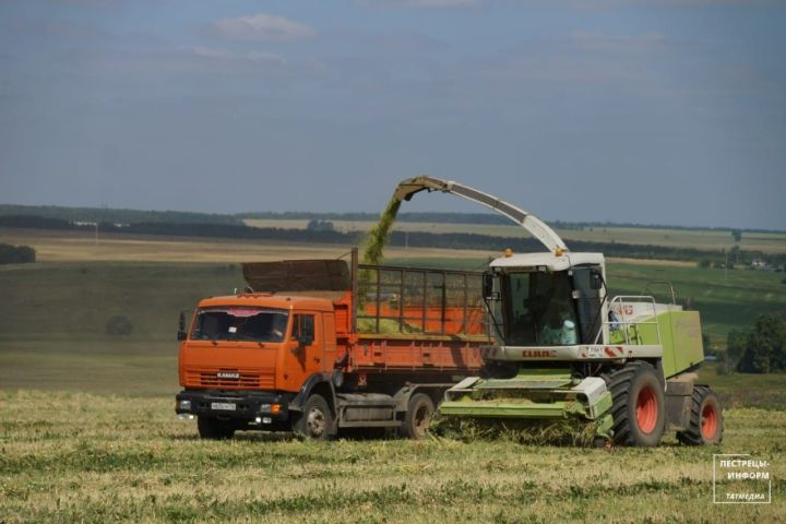 В Пестречинском районе полным ходом идет кормозаготовка