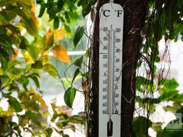 Татарстанцам пообещали сухую и теплую погоду в День знаний