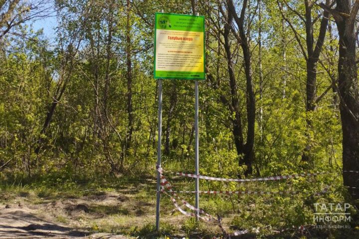 Минлесхоз РТ объяснил, почему леса не закроют для посещения этой осенью