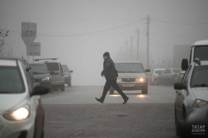 В Пестречинском районе ожидается до +7 градусов и небольшие дожди