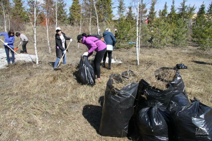 В Татарстане утверждены даты проведения санитарно-экологического двухмесячника