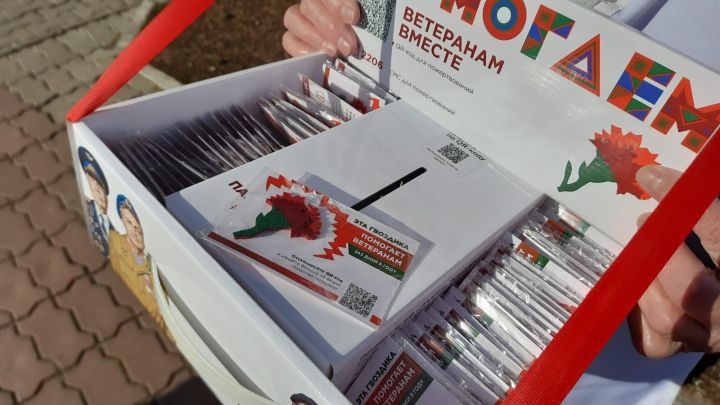 Пестречинцы могут помочь ветеранам в рамках акции «Красная гвоздика»