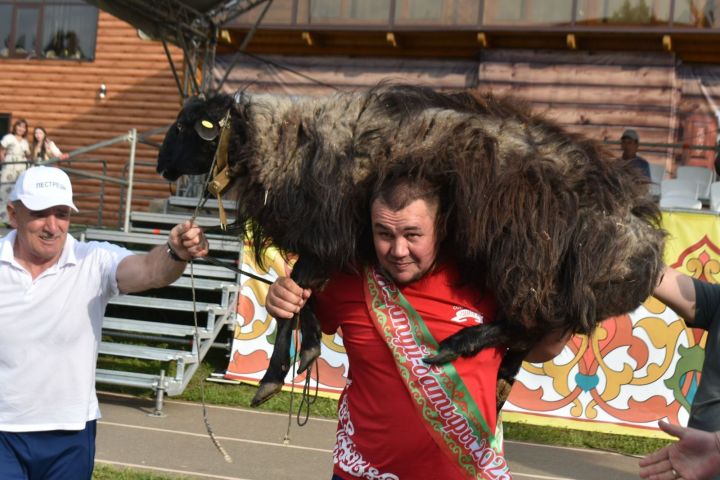 Фархат Файзуллин – десятикратный «Батыр» Сабантуя в Пестрецах