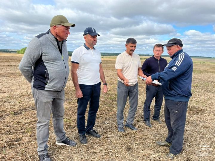 На пестречинском поле наградили лучших комбайнеров недели