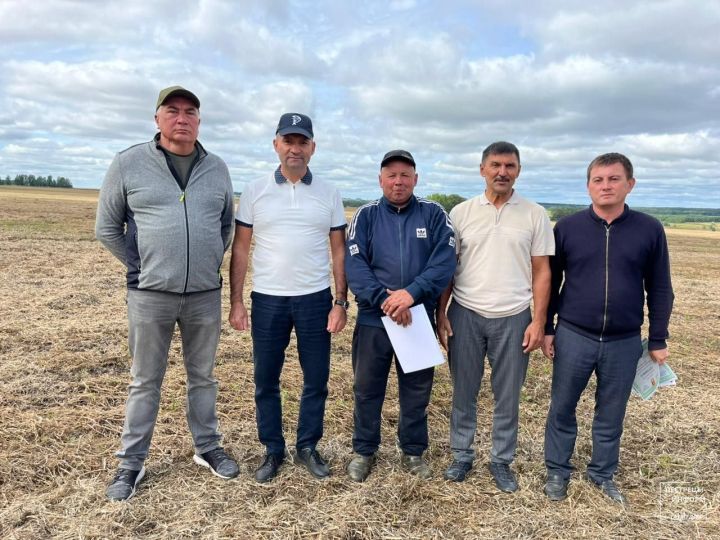 На пестречинском поле наградили лучших комбайнеров недели