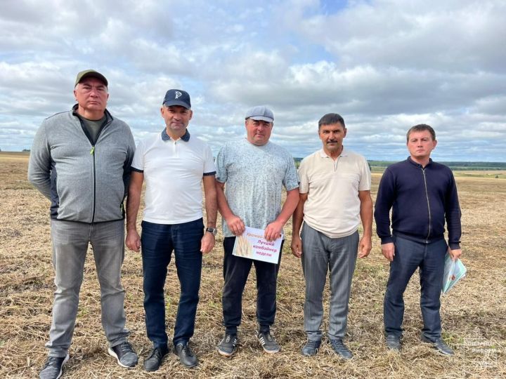 На пестречинском поле наградили лучших комбайнеров недели