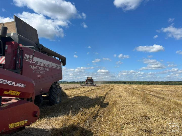 В Пестречинском районе наградили лучших комбайнеров недели