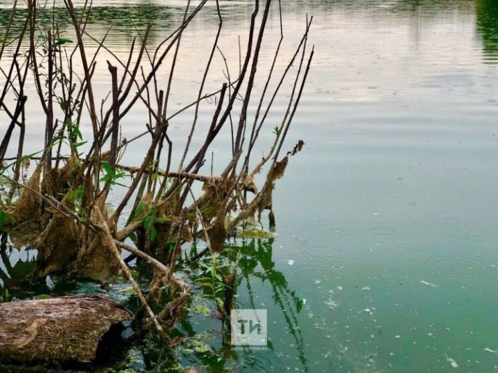 В Пестречинском районе компанию оштрафовали за загрязнение реки