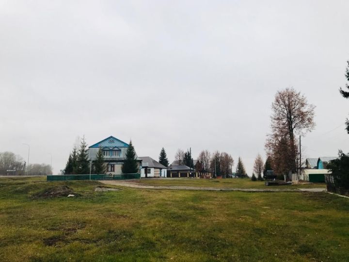 В Пестречинском районе 25 сентября ожидается дождливая погода и порывистый ветер
