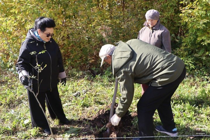 В Пестречинской первой школе заложили Яблоневый сад