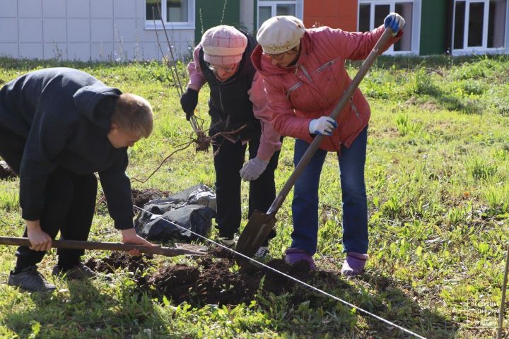 В Пестречинской первой школе заложили Яблоневый сад