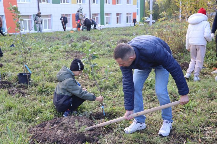 В Пестречинской первой школе заложили Яблоневый сад