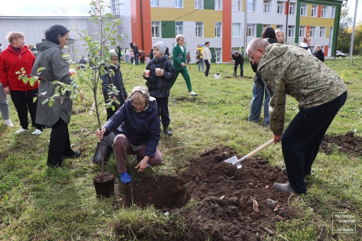 В Пестречинской первой школе заложили Яблоневый сад