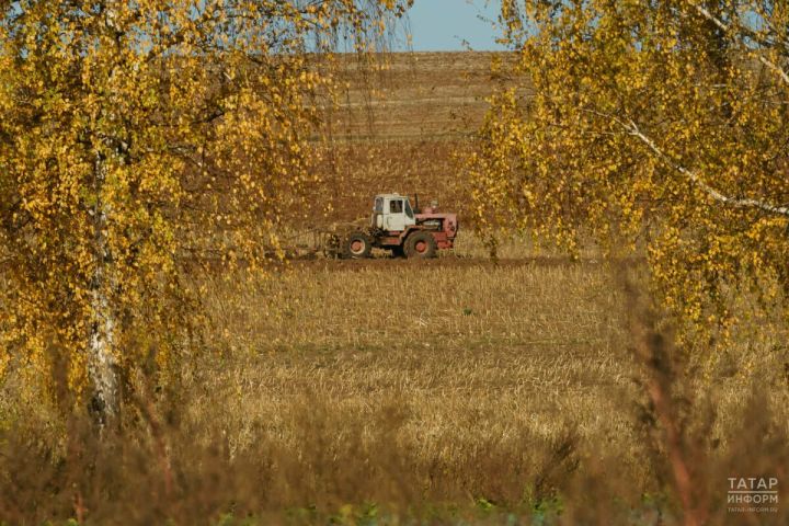 В Пестречинском районе обработают поля пестицидами