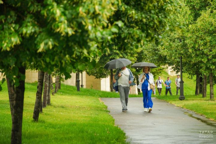В Пестречинском районе местами пройдут кратковременные дожди