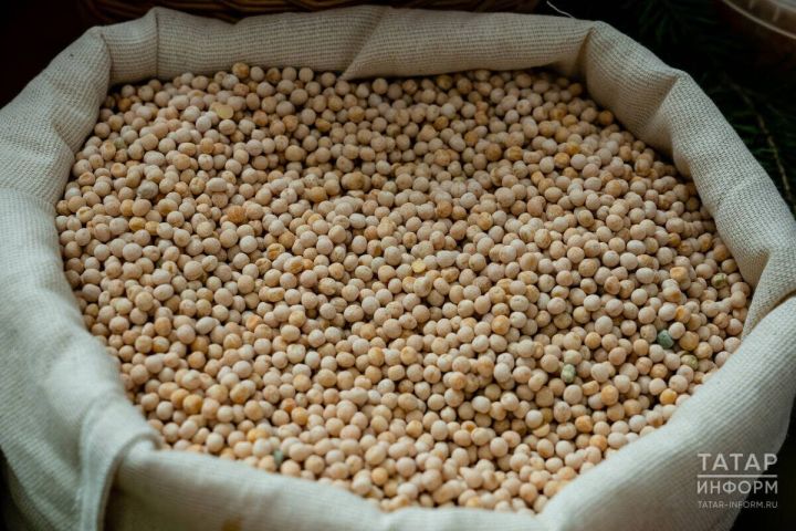 Диетолог назвала бобовые альтернативой мясу по содержанию белка