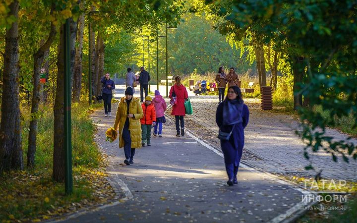 Какие законы вступают в силу в сентябре