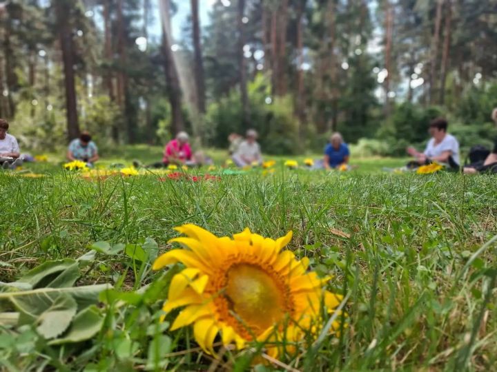 Активисты «Пестречинского долголетия» провели утро с мандалами и чаем в лесу