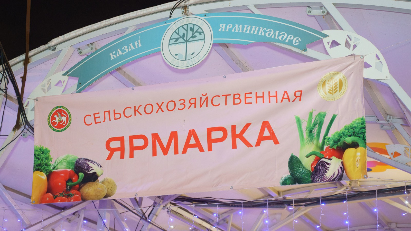 Они будут проходить каждую субботу на 14 площадках