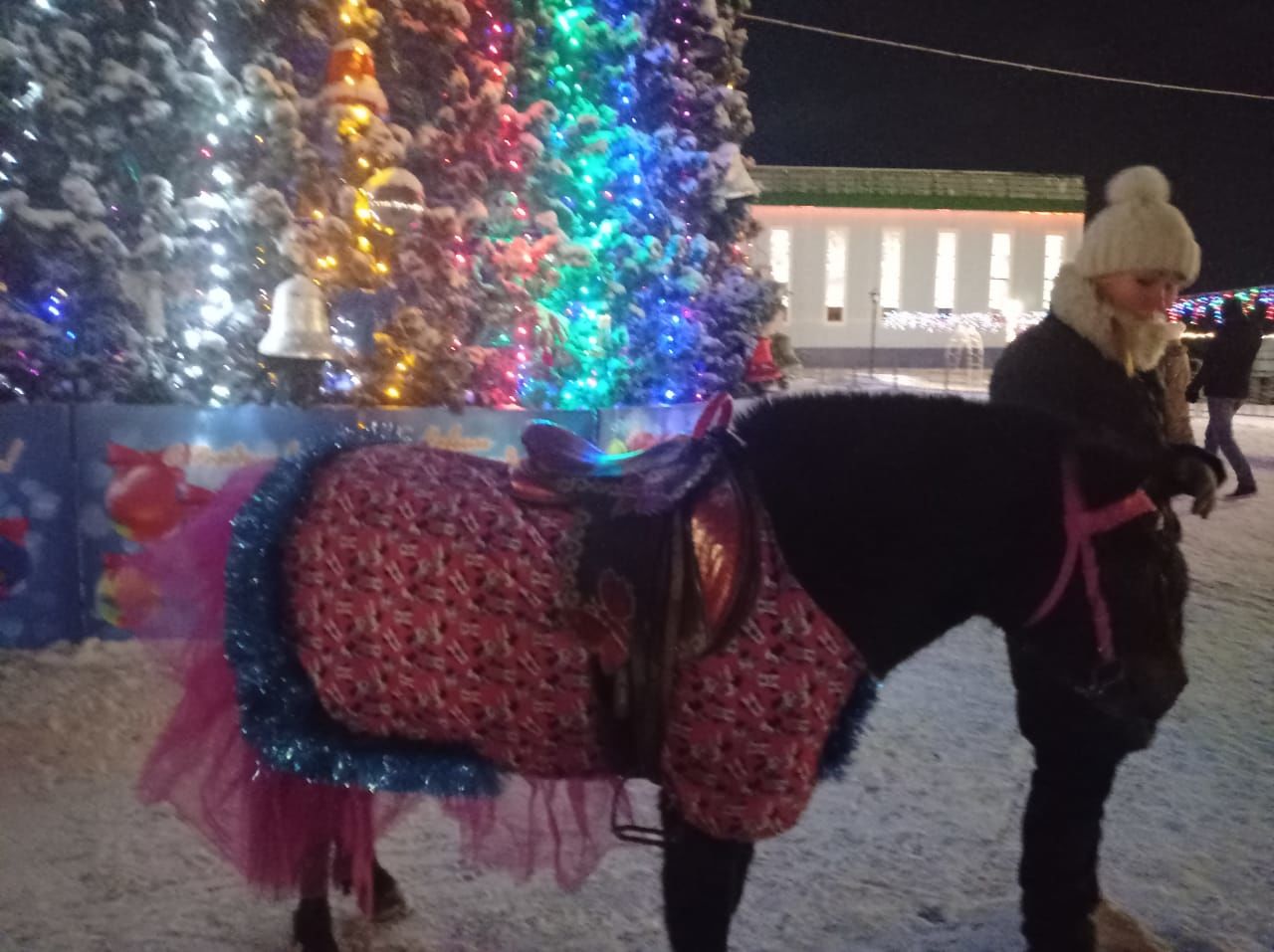 В Пестрецах открыли главную ёлку района