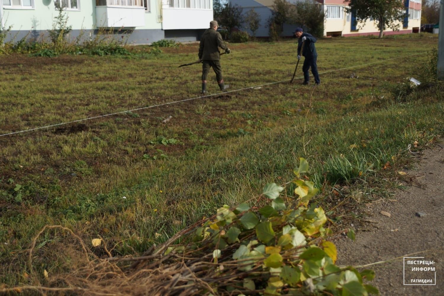 В Пестрецах посадили около 500 деревьев