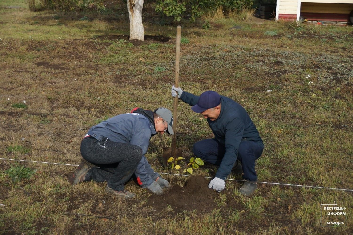 В Пестрецах посадили около 500 деревьев