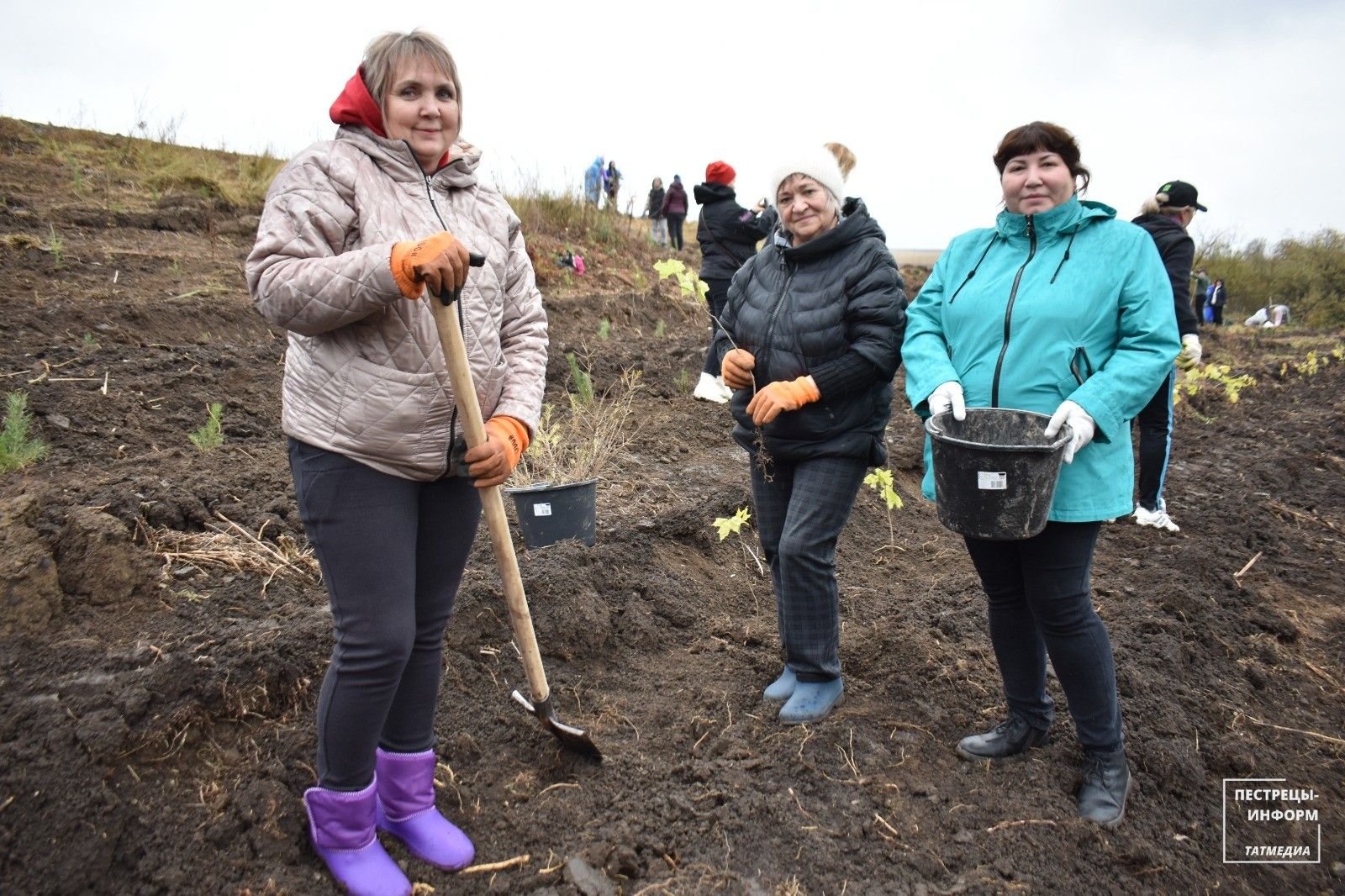 В Пестречинском районе посадили 100 тысяч молодых деревьев