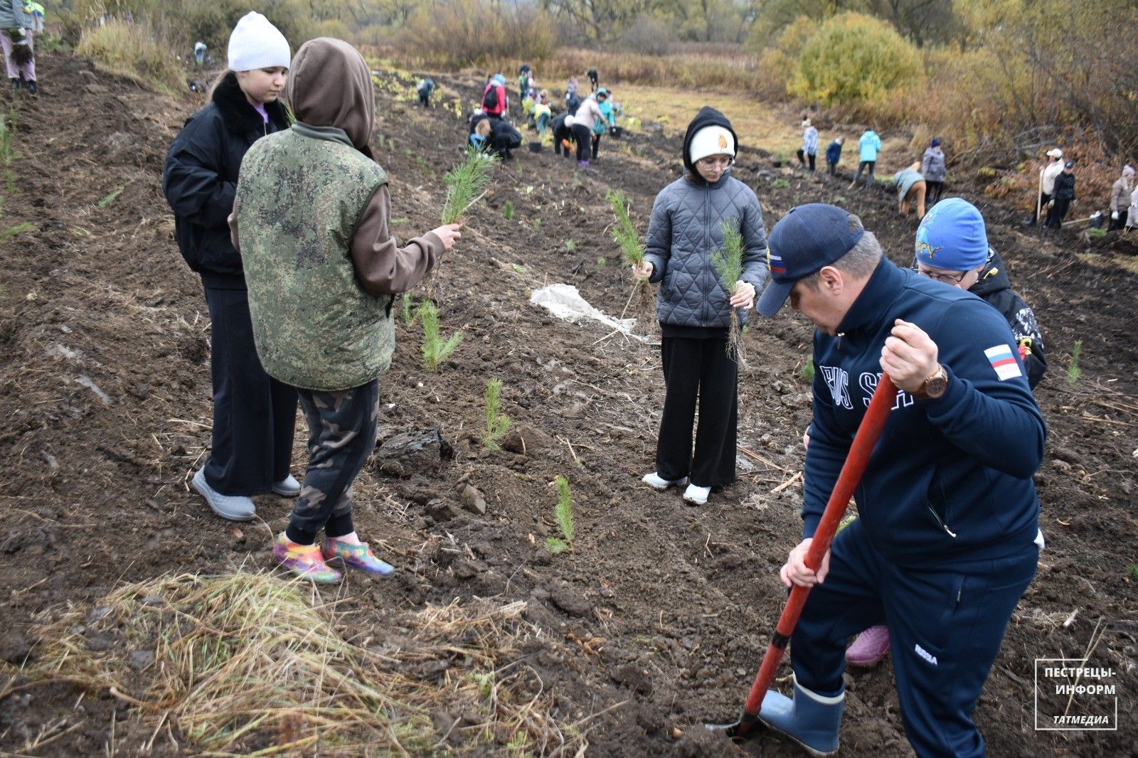 В Пестречинском районе посадили 100 тысяч молодых деревьев