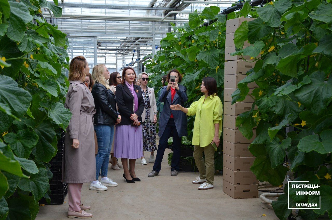 Деловые женщины Татарстана посетили Пестречинский район