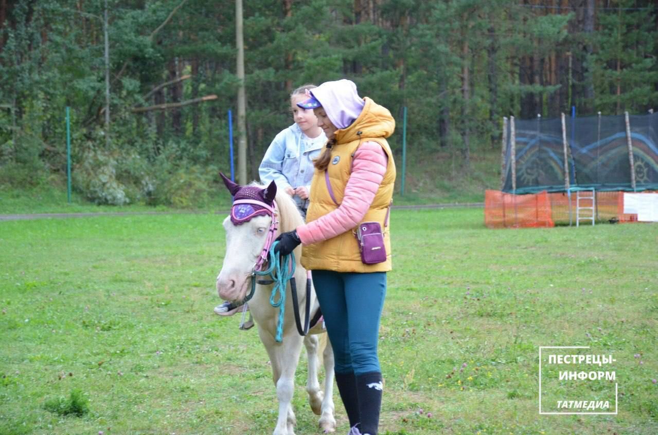 В сосновом бору прошел фестиваль «Пестречинские Зори»