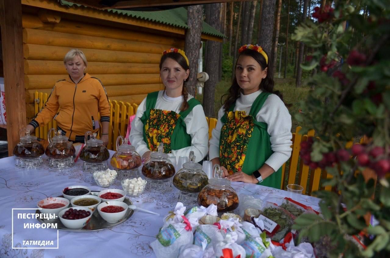 В сосновом бору прошел фестиваль «Пестречинские Зори»