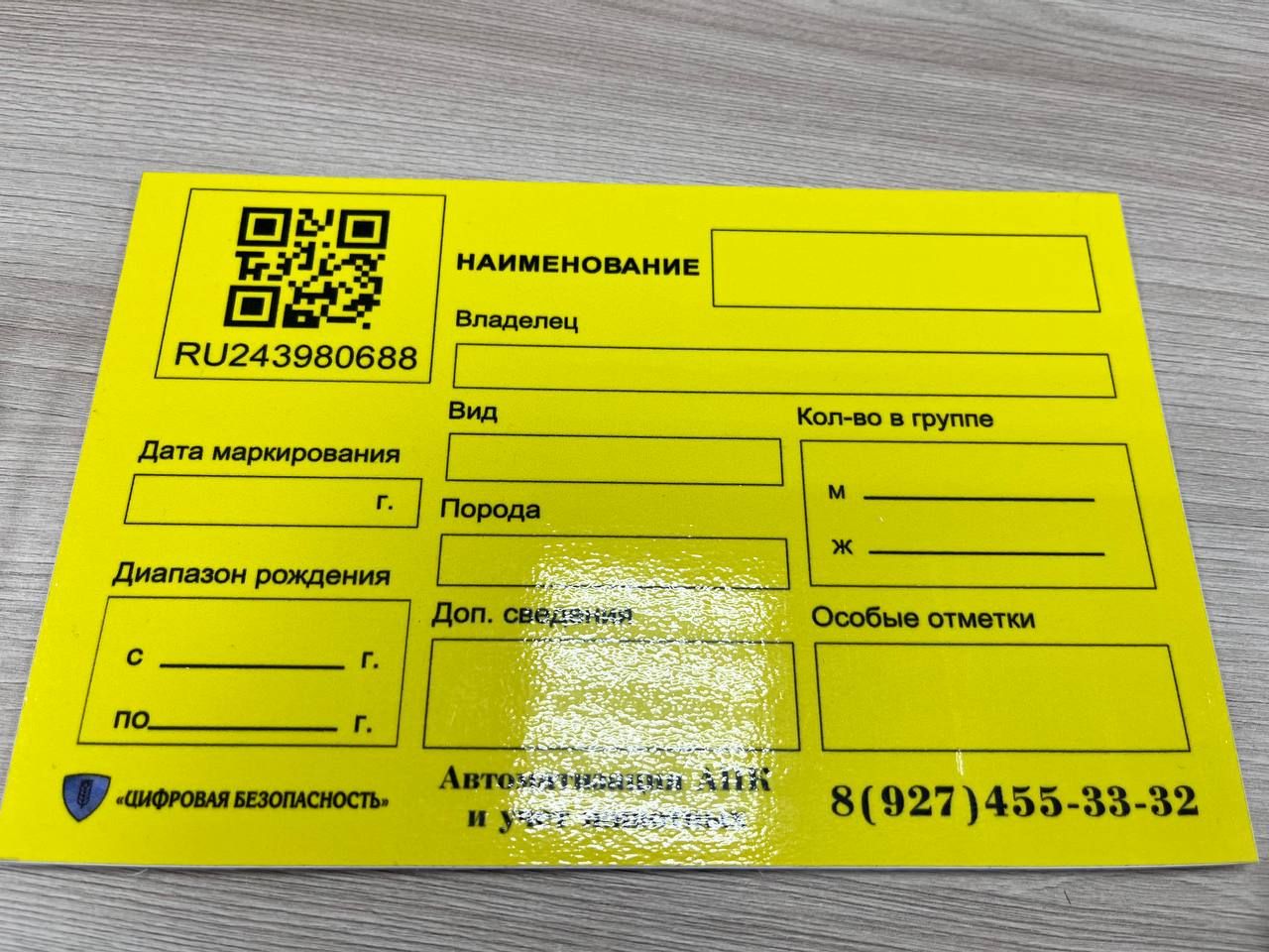 Обязательное чипирование животных: что нужно знать владельцам в Пестречинском районе