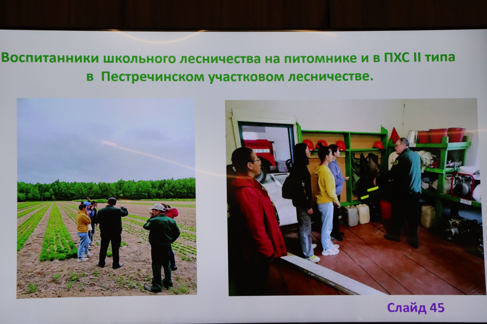 Лесных пожаров за 2025 год в Пестречинском районе не допущено