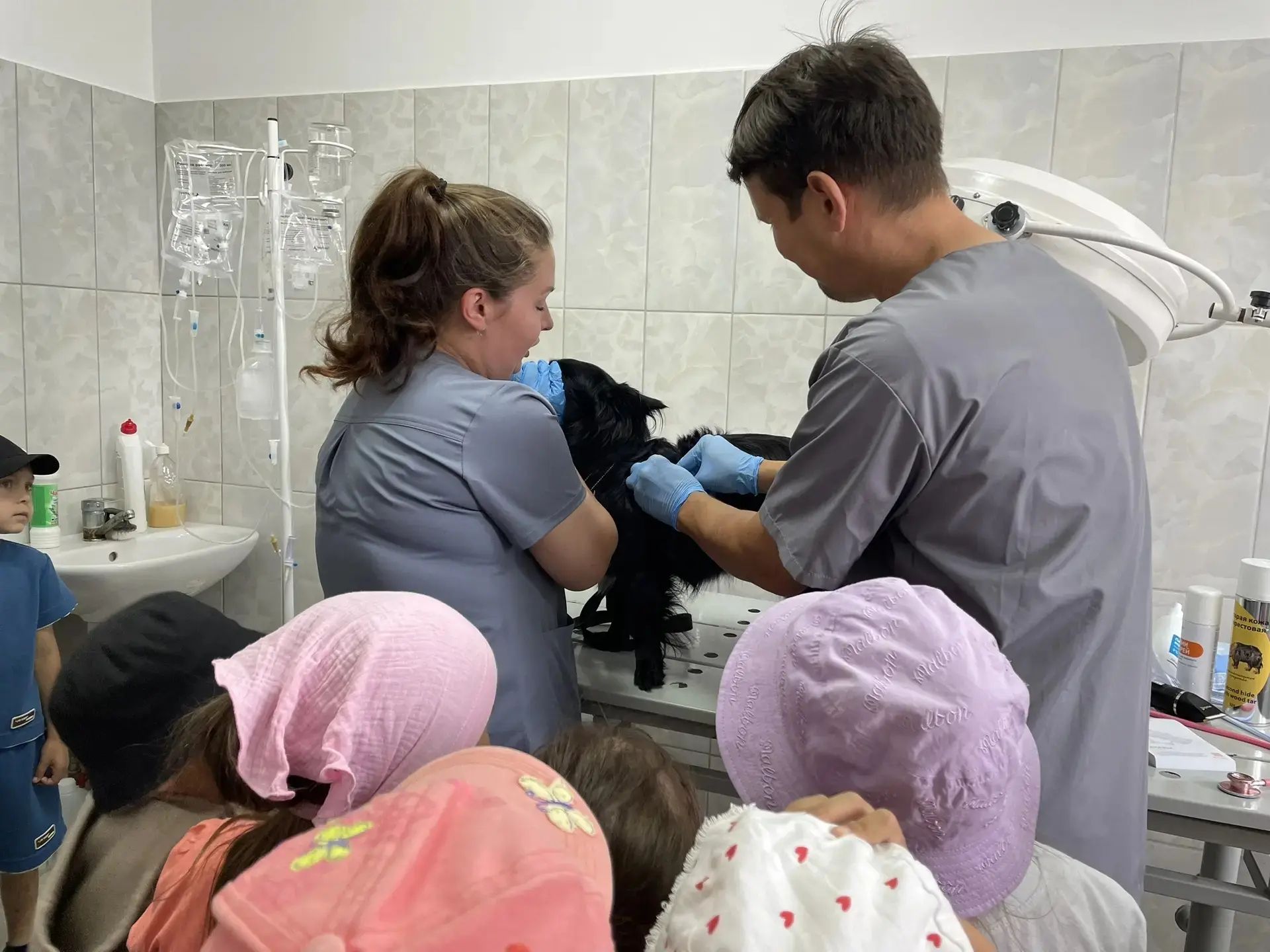 Воспитанники детсада «Колокольчик» побывали на экскурсии в ветслужбе