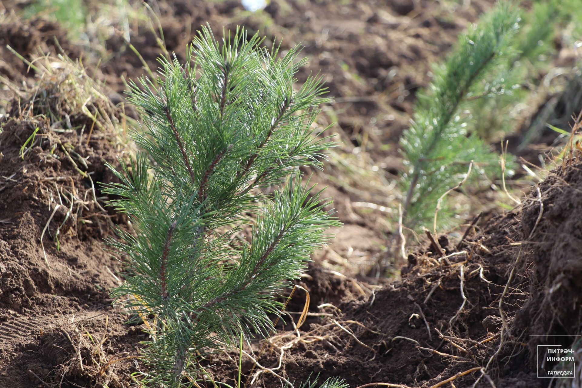 «УрманФест - 2025»