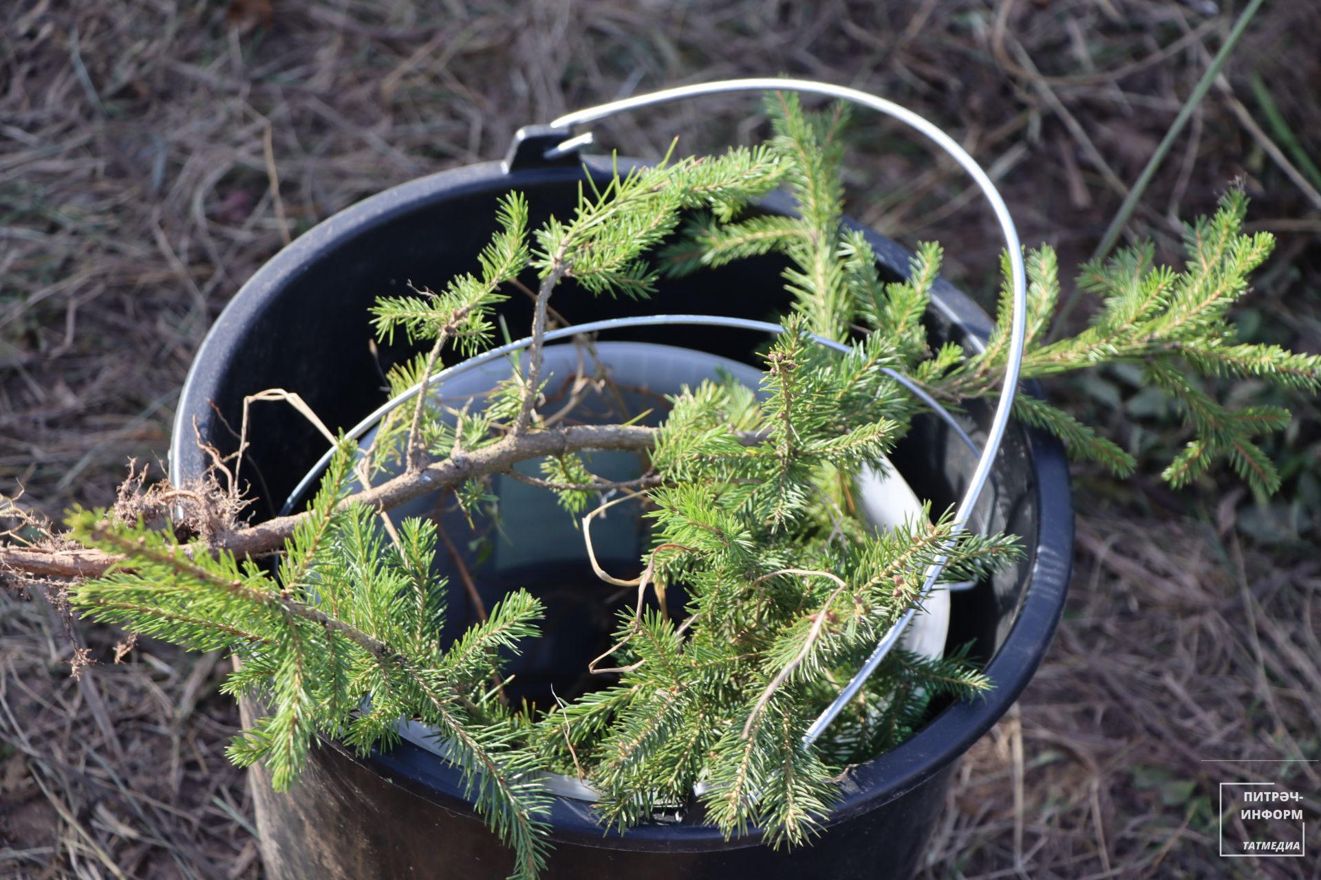 «УрманФест - 2025»