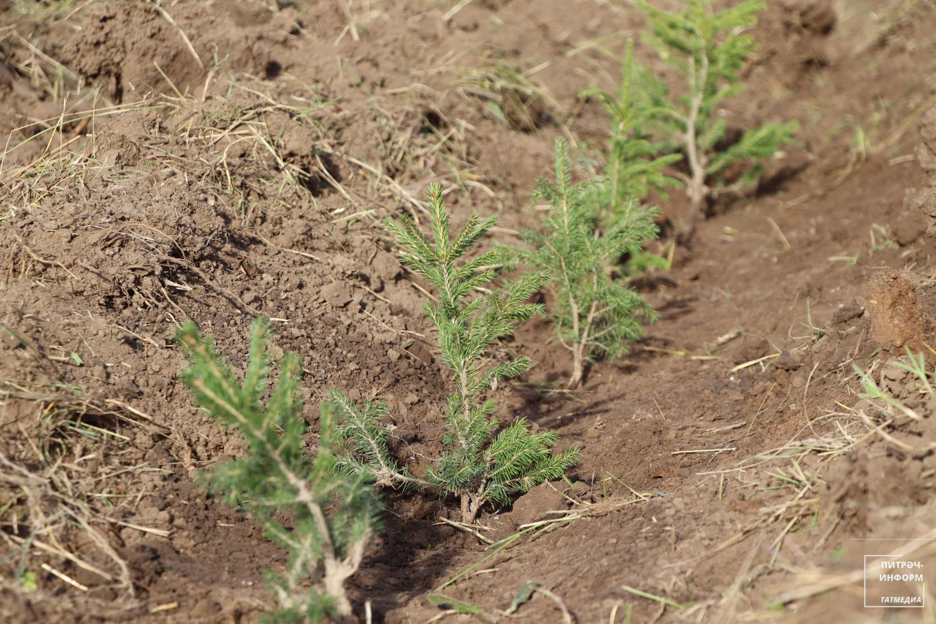 «УрманФест - 2025»