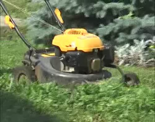 Мәдәният бүлеге хезмәткәрләре өмәгә чыкты