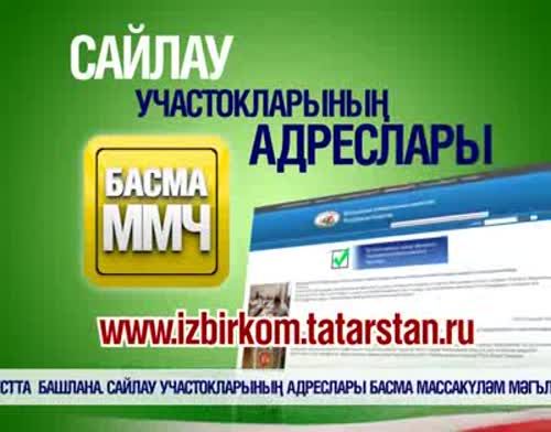 14 сентябрьдә Татарстанда Дәүләт Советына сайлаулар узачак