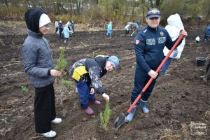 Пестречинцы могут принять участие в акции по посадке деревьев