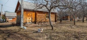 Садоводам дали советы по сохранению урожая в непогоду